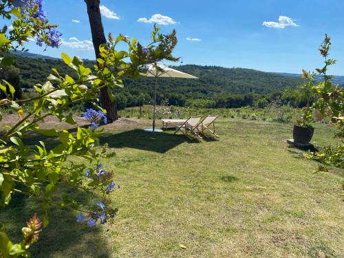 a picnic table and an umbrella in a field at casa il colle con piscina privata in Strada