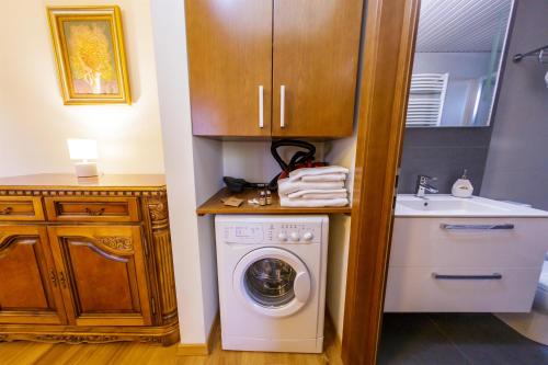 baño pequeño con lavadora y lavamanos en Apartament Family Rivulus 8 en Baia Mare