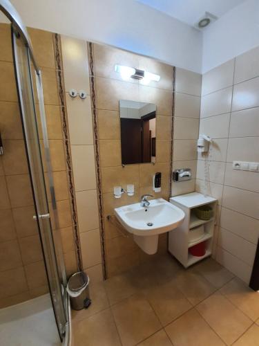 ein Bad mit einem Waschbecken und einer Dusche in der Unterkunft Apartmán ELIZABETH in Bešeňová