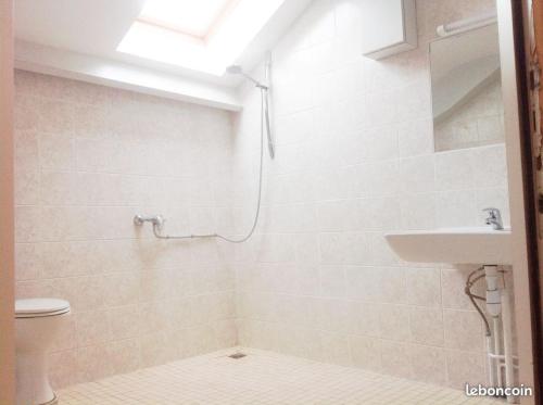 une salle de bain avec une douche, des toilettes et un lavabo dans l'établissement DOMAINE DE KERIVIN, à Dirinon