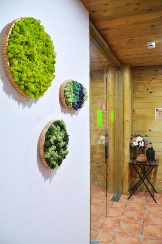 a wall with three wreaths of plants on it at El Jou Nature in Sant Corneli de Cercs 