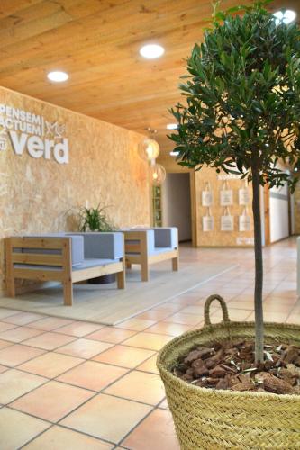 a tree in the middle of a lobby with benches at El Jou Nature in Sant Corneli de Cercs 