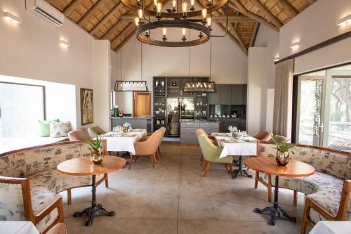 Gallery image of Simbavati Camp George in Klaserie Private Nature Reserve