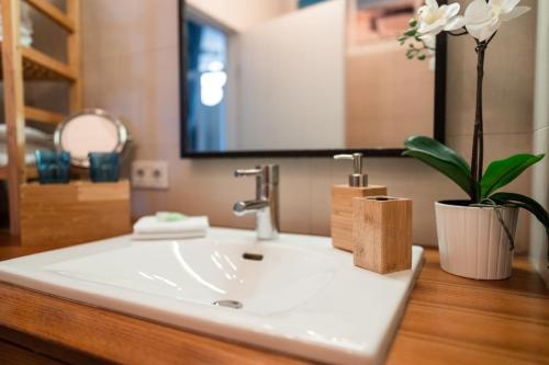 a bathroom sink with a potted plant and a mirror at Luxury Downtown Appartement mit Garage in Graz