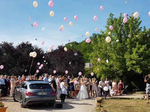 a group of people standing around a car with balloons at Hôtel Domaine des Pierres Dorées in Ternand