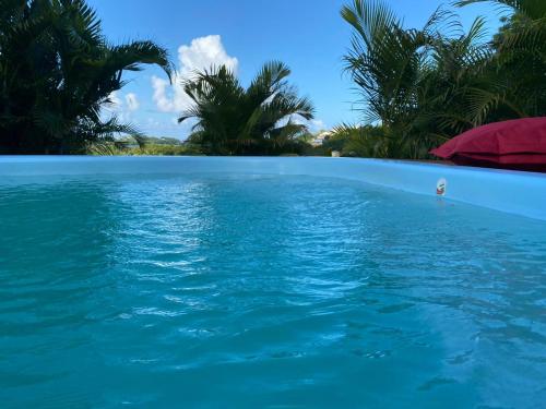 a swimming pool with blue water and palm trees at Le Goyav' appart avec piscine et jacuzzi au Vauclin in Le Vauclin