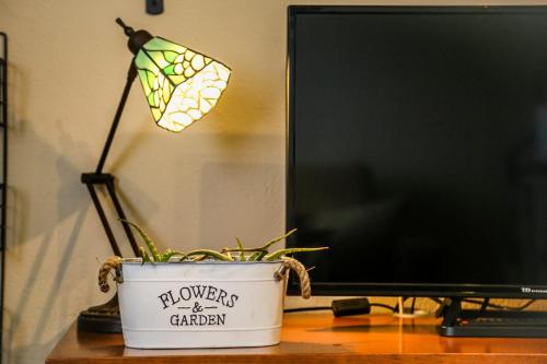 a plant in a pot next to a computer monitor at Casa de Arriba in Rinlo