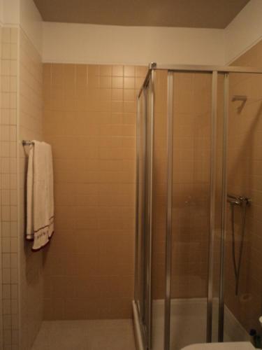 a bathroom with a shower and a toilet at Casa Villar Mayor in Vilar Maior