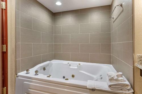 Et badeværelse på Comfort Inn & Suites Allen Park - Dearborn