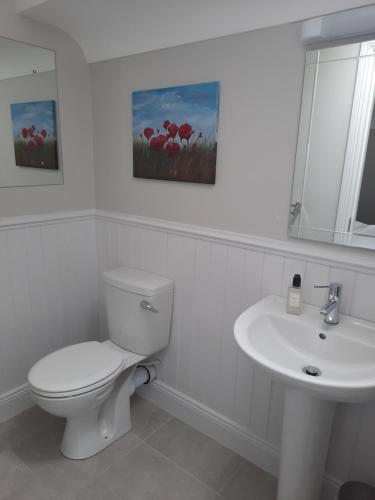 a white bathroom with a toilet and a sink at River Shack in Doolin