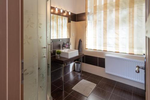 a bathroom with a sink and a mirror at Golden Key Apartments in Liberec