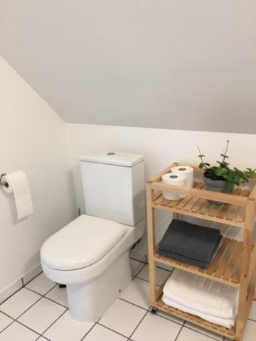 a bathroom with a toilet and a shelf with a plant at Elleholm in Odense