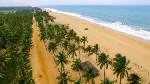 an aerial view of a beach with palm trees at Natura luxury red house in Ouidah