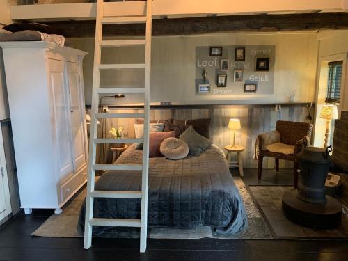 a bedroom with a bunk bed with a ladder at B&B de Tuinfluiter in Nieuwleusen