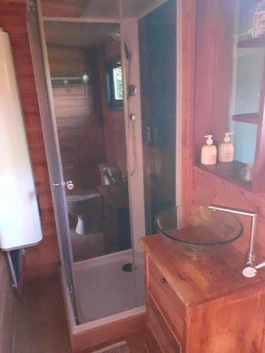 La salle de bains est pourvue d'un lavabo en verre et d'une douche. dans l'établissement La Roulotte de la Clef des Champs, à Buzancy