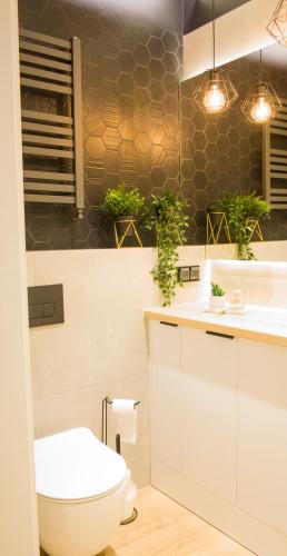 a bathroom with a toilet and a sink at Albus 312 in Świnoujście