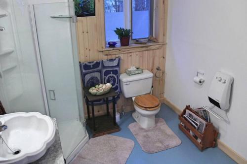 a bathroom with a toilet and a sink and a shower at La maison du capitaine in Tadoussac