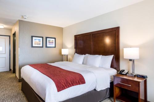 Кровать или кровати в номере Comfort Inn Bonner Springs Kansas City