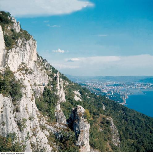 Φυσικό τοπίο κοντά σε αυτό το ξενοδοχείο