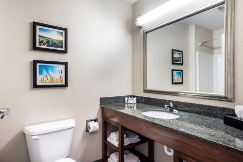 a bathroom with a sink and a toilet and a mirror at Comfort Inn Bonner Springs Kansas City in Bonner Springs