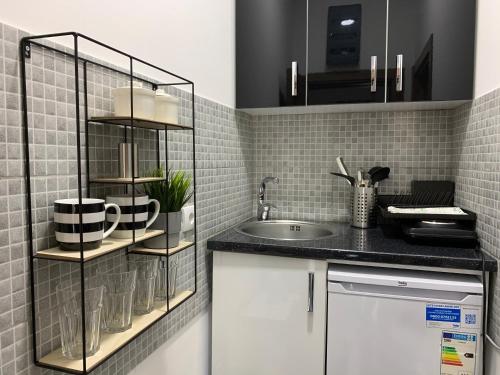 uma cozinha com um lavatório e uma bancada em Apartman Spring em Sombor