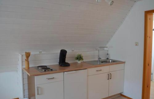 eine Küche mit einer Spüle und einer Arbeitsplatte in der Unterkunft Ferienhaus Bärbelstein Barbarossa in Erlenbach
