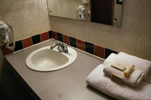 Koupelna v ubytování Caboose Motel
