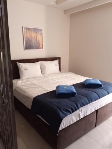 a bedroom with a bed with blue pillows on it at Hotel Terme Ozren in Bosansko Petrovo Selo