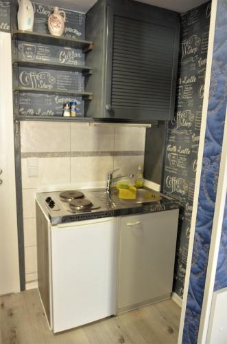 Apartments Am Werderseeにあるキッチンまたは簡易キッチン