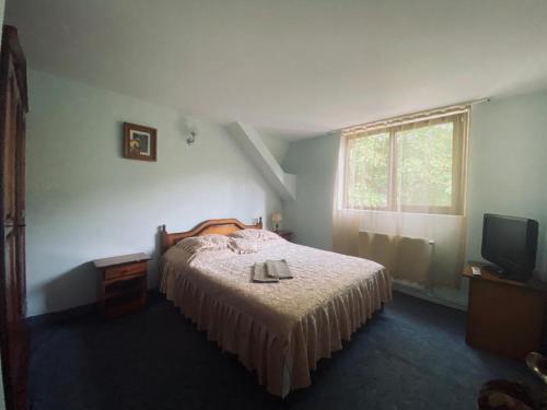 a bedroom with a bed and a television at Pensiunea Casa Domniței Sucevița in Suceviţa