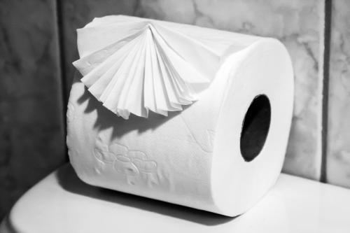 a roll of toilet paper sitting on top of a toilet at Leques Brasil Hotel Escola in Sao Paulo
