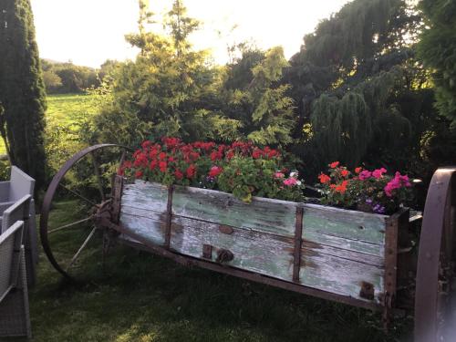 
a wooden bench with a bunch of flowers in it at Tyddyn Perthi Farm in Llanberis
