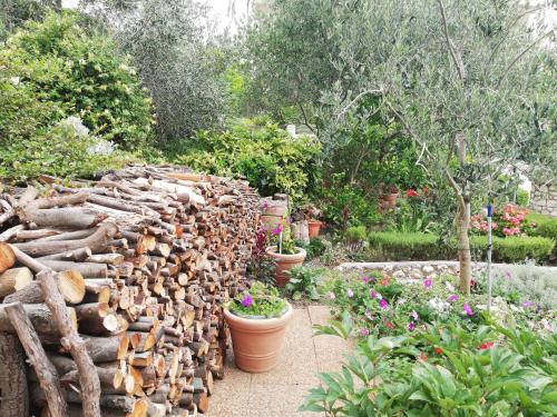 Gallery image of Apartments Sandra in Rab