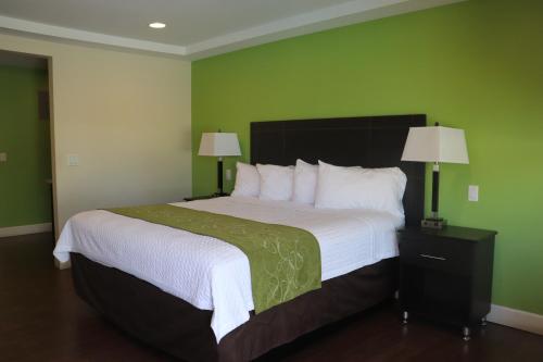 a bedroom with a large bed with green walls at Curtis Inn & Suites in Hollywood