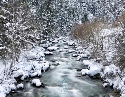 a stream with snow on the branches of trees at Vora Riu in Esterri d'Àneu