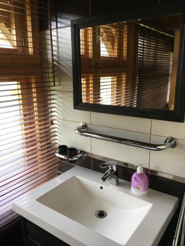 a bathroom sink with a mirror and a pink soap container at Valea Vinului Suite in Vişeu de Sus