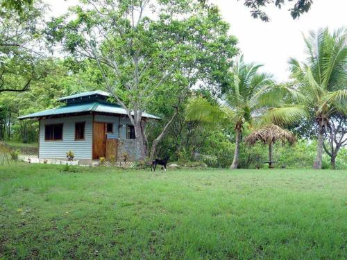 a small house with a dog standing in a field at WINDOWS AT THE SEA in San Juanillo