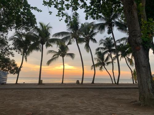 eine Gruppe von Palmen am Strand bei Sonnenuntergang in der Unterkunft SEA LA VIE @ LAGUNA CONDO RESORT in Port Dickson