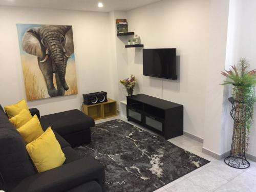 a living room with a couch and a tv at Casa Porta de Santiago in Pinhel