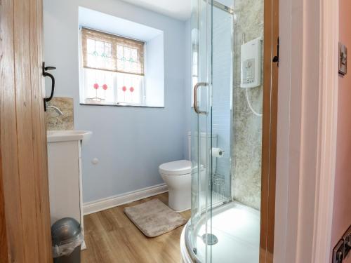 Un baño con inodoro y ducha de cristal. en Morawel Fach, en Newport
