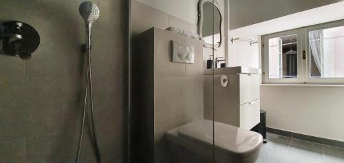 a bathroom with a shower and a toilet at Muziqa Apartments in Dubrovnik