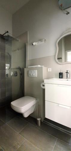 a bathroom with a toilet and a sink and a shower at Muziqa Apartments in Dubrovnik