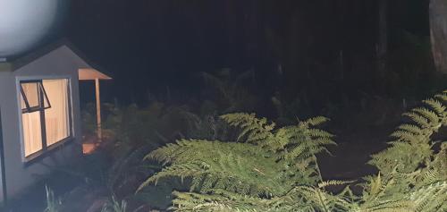 Gambar di galeri bagi Cradle Alpine Retreat di Moina