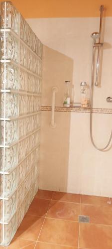 a bathroom with a shower and a glass wall at Casa del Portalón in Ituero y Lama