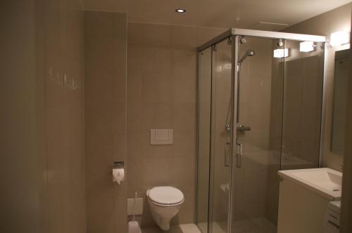 オスロにあるThe Apartments Company - Aker Bryggeのバスルーム(シャワー、トイレ、洗面台付)