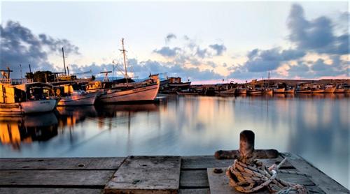 a group of boats are docked in a harbor at JustSmile - Seaview Maisonette in Latchi in Polis Chrysochous