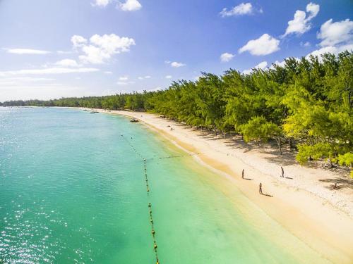 an aerial view of a beach with trees and the ocean at Villa Agata Mauritius in Mont Choisy