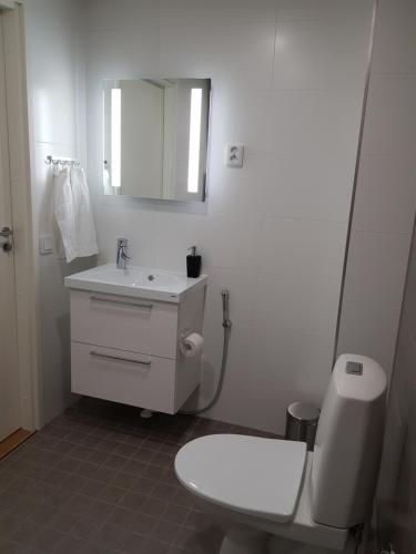 a bathroom with a toilet and a sink and a mirror at New studio in West-Pasila in Helsinki
