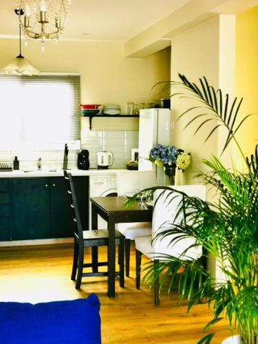 Cuina o zona de cuina de Kareem flat