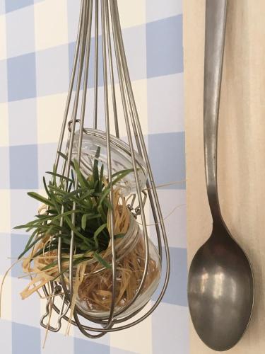 a glass bowl with a plant in it next to a spoon at Skålleruds Gård in Åsensbruk
